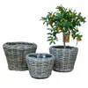 Korb "Drypot" mit Einsatz D55 H42cm Produktbild-Vorschau 2