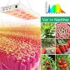 70W 240Leds Lampa Roślinna Led Pełne Spektrum UV IR Lampa Podgląd zdjęcia produktu 2