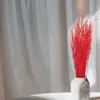 Lepidium (Lepidium sativum) - Rot Produktbild-Vorschau 6