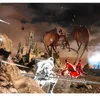 Gra Dark Souls Trilogy na PS4 UK multi Compendium Podgląd zdjęcia produktu 8