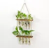 Hängen Pflanzgefäße, 2 Stufen Propagation Station, Ableger Produktbild-Vorschau 5