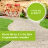 Permaclean Acetum 5 l - koncentrovaná základní látka proti Náhled obrázku produktu 9