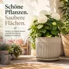 Pflanztopfuntersetzer Mira Taupe Ø 49cm - Frostsicher & Produktbild-Vorschau 4