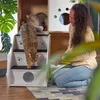 Schody dla psów Relaxdays, 3 stopnie, dla psów i kotów, Podgląd zdjęcia produktu 3