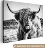 OneMillionCanvasses® - Plátno - Skotský horal - Příroda - Náhled obrázku produktu 1