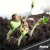 hubey® Trichoderma - Streuer zur Impfung der Wurzeln, Produktbild-Vorschau 5