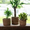 Seegras Korb rund natur Ø 19 x 16cm mit Einsatz Blumentopf Produktbild-Vorschau 1