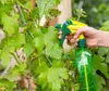 A hand is spraying a plant with a spray bottle. Náhled obrázku produktu