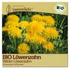 Samenliebe  Löwenzahn Samen | Wilder Löwenzahn - winterhart Produktbild-Vorschau 1