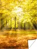 MuchoWow® Poster Baum - Natur - Sonne - Landschaft - Wald Produktbild-Vorschau 1