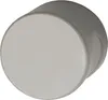 A close-up, angled view of a gray, round doorknob against a white background. Produktbild-Vorschau