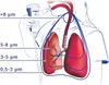 Flaem Airmate Inhalator-Nebulisator Mit 2 Modi, Für Kinder Produktbild-Vorschau 11