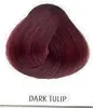 La Riché Directions Semi-Permanent Conditioning Hair Colour Produktbild-Vorschau 19