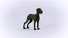 schleich 13962, 3 Jahr(e), Dogs, Farm animals / farm toys, Produktbild-Vorschau 6