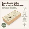 Islandmoos 500 g in über 30 Farben, konservierte Produktbild-Vorschau 5