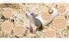 Ratten Produktbild-Vorschau 8