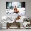 Bild auf Leinwand - Leinwandbild - Eichhörnchen Winter Produktbild-Vorschau 6
