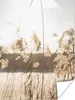 MuchoWow® Poster Wasser - Pampasgras - Pflanzen 120x160 cm Produktbild-Vorschau 1