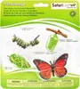 Safari S622616 - Cycle de vie d'un papillon monarque Voir les images du produit 3