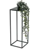 A black metal plant stand with a potted plant on top. Náhled obrázku produktu