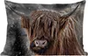 MuchoWow® Outdoor Kissen - Schottisches Hochlandrind - Produktbild-Vorschau 1