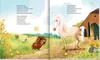 Ronny, das Pony, (Bd. 2) Produktbild-Vorschau 3