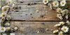 Küchenrückwand Spritzschutz Glas mit Motiv Holz und Produktbild-Vorschau 3