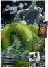 Magnettafel 40x60cm Pinnwand Whiteboard beschreibbar - Kiwi Produktbild-Vorschau 1