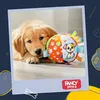 FANCY Hundeball mit Schlaufen 13 cm, Stoffball Hund - Produktbild-Vorschau 4