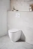A modern bathroom with a wall-mounted toilet and a flush plate. Anteprima dell’immagine prodotto