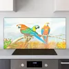 Coloray Küchenrückwand 140x70 Spritzschutz aus Glas - Pet Produktbild-Vorschau 2