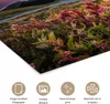 MuchoWow® Poster Blumen - Berge - Landschaft - Nacht - Produktbild-Vorschau 2