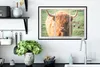 MuchoWow® Gerahmtes Poster Schottische Highlander - Natur - Produktbild-Vorschau 3