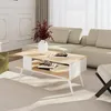 Table basse Lycksele Table d'appoint avec espace de Voir les images du produit 1
