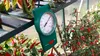 Min-Max-Thermometer Produktbild-Vorschau 4