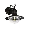 A single outdoor wall light fixture. Anteprima dell’immagine prodotto