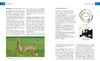 Vor und nach der Jägerprüfung - Printausgabe Produktbild-Vorschau 7
