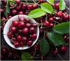 Spritzschutz Herdabdeckplatte Schneidebrett aus Glas Produktbild-Vorschau 1