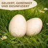 Truthahneier Deko Natur 12 Stk 5–6 cm, Ostereier zum Produktbild-Vorschau 5