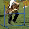 XINZI Bleu 4X Haies pour chiens Équipement d'agilité Barres Voir les images du produit 10