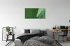 Glasbilder 100x50 Wandkunst Wassertropfenblatt Produktbild-Vorschau 3