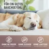 REAVET Magenpulver für Hunde 300g mit Ulmenrinde ohne Produktbild-Vorschau 5