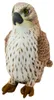 Peluche Mascotte Huggable Oiseau Faucon Pèlerin Marron 30Cm Voir les images du produit 1