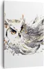 Bild auf Leinwand - Leinwandbild - Einteilig - Owl Federn Produktbild-Vorschau 1