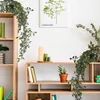 Relaxdays - Plantes artificielles suspendues, lot de 2 Voir les images du produit 2