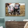 MuchoWow® - Leinwandbilder - Schwein - Tiere - Ferkel, Produktbild-Vorschau 4