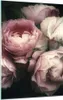 Bilder auf glas - Einteilig - Pfingstrose Blume - 50x70cm - Produktbild-Vorschau 1