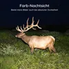 A deer with large antlers stands in a grassy field at night, with stars visible in the dark sky. Produktbild-Vorschau