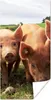 MuchoWow® Poster Schweine - Groß - Tiere 20x40 cm - Plakat Produktbild-Vorschau 1