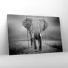 Bild auf Leinwand - Leinwandbild - 3 Teile - Elefant Produktbild-Vorschau 4